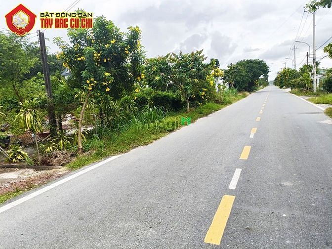 Hình ảnh Bán đất 2 mặt tiền đường Đỗ Đăng Tuyển - 240m2 - 4x60 - 183m2 thổ cư