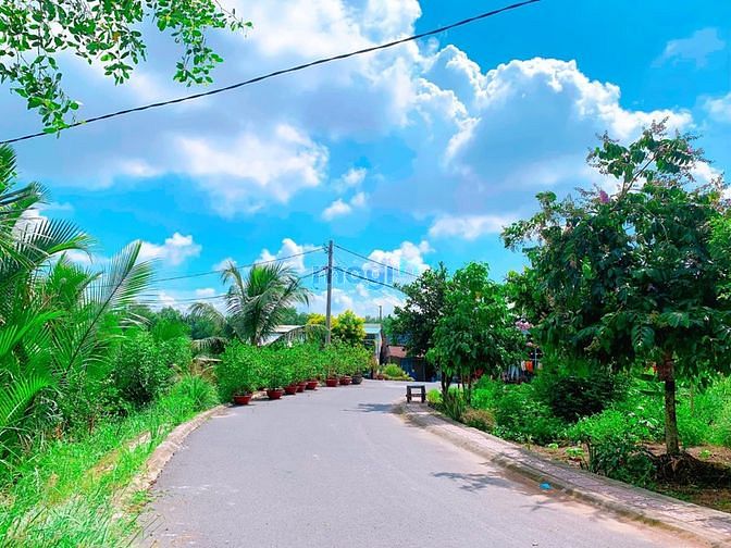 Hình ảnh Bán Đất Bình Chánh-Sổ Hồng Riêng