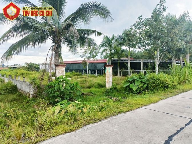 Hình ảnh Bán đất đường 658 - 2052m2 - 20x107 - 300m2 thổ cư - xã Phước Thạnh