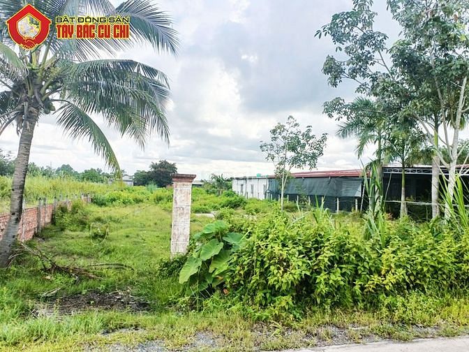 Hình ảnh Bán đất đường 658 - 2052m2 - 20x107 - 300m2 thổ cư - xã Phước Thạnh