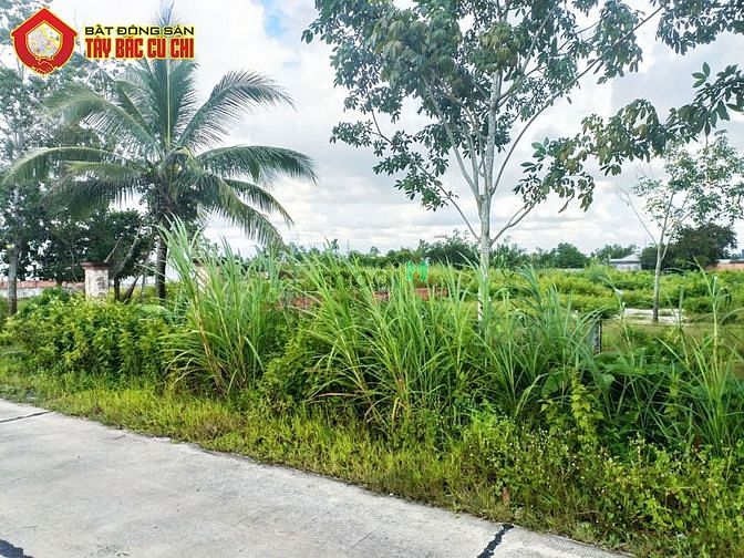Hình ảnh Bán đất đường 658 - 2052m2 - 20x107 - 300m2 thổ cư - xã Phước Thạnh