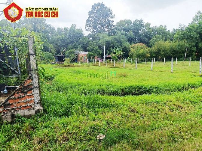 Hình ảnh Bán đất 1/ đường 755 - 375m2 - 12x30 - 300m2 thổ cư - xã An Nhơn Tây