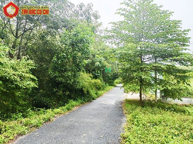 Hình ảnh Đất đường Phan Thị Vẽ - 636m2 - 13.8x49 - 300m2 thổ cư - Củ Chi