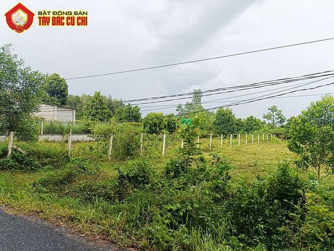 Hình ảnh Đất đường Phan Thị Vẽ - 636m2 - 13.8x49 - 300m2 thổ cư - Củ Chi