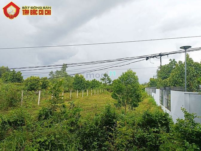 Hình ảnh Đất đường Phan Thị Vẽ - 636m2 - 13.8x49 - 300m2 thổ cư - Củ Chi