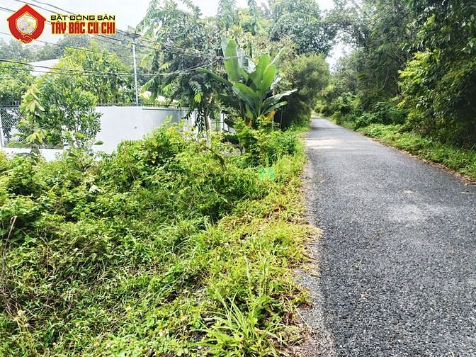 Hình ảnh Đất đường Phan Thị Vẽ - 636m2 - 13.8x49 - 300m2 thổ cư - Củ Chi
