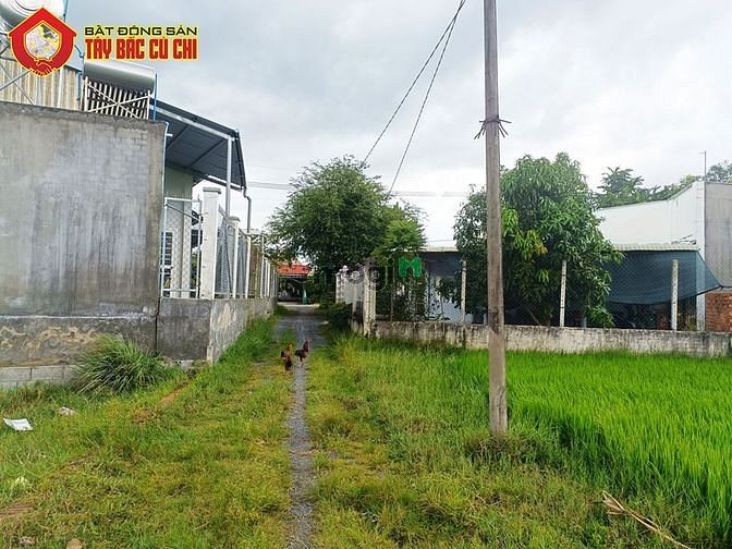 Hình ảnh Đất 1/ Tỉnh Lộ 2 - 131m2 - 9x16 - 107m2 thổ cư - xã Trung Lập Thượng
