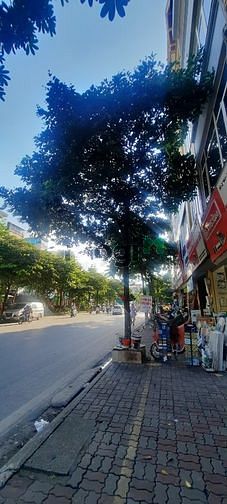 Hình ảnh Phố Thanh Nhàn, Hai Bà Trưng :52 , 4t