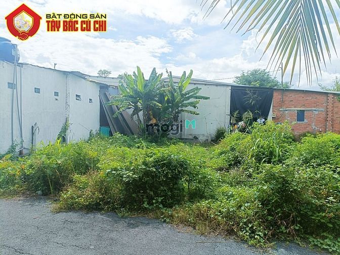 Hình ảnh Bán đất 1/ đường Phan Thị Mọn - 102m2 - 7.8x14 - 80m2 thổ cư - Củ Chi