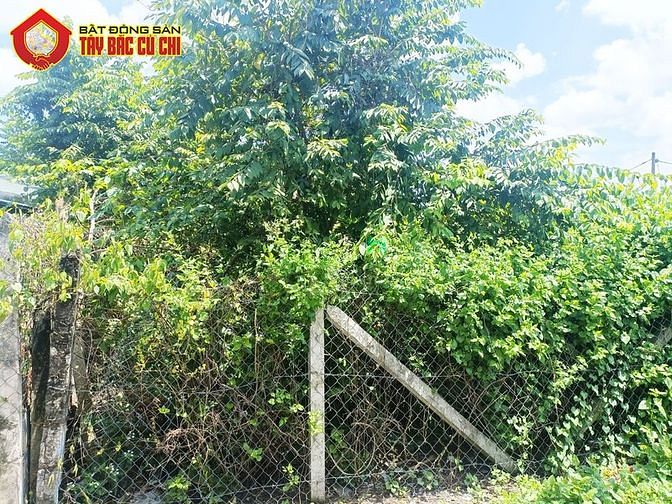 Hình ảnh Bán đất 1/ Nguyễn Thị Nê - 255m2 - 5x51 - 100m2 thổ cư - Củ Chi