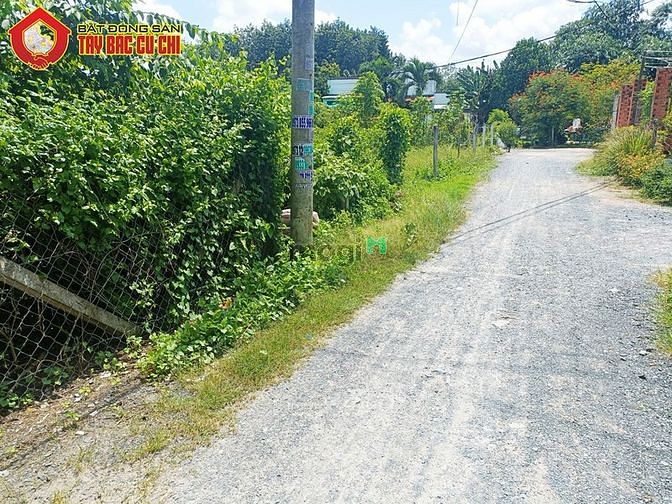 Hình ảnh Bán đất 1/ Nguyễn Thị Nê - 255m2 - 5x51 - 100m2 thổ cư - Củ Chi