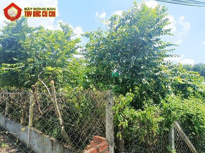 Hình ảnh Bán đất 1/ Nguyễn Thị Nê - 255m2 - 5x51 - 100m2 thổ cư - Củ Chi