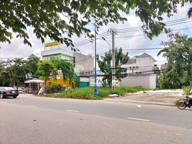 Hình ảnh Villa đường Tôn Thất Tùng - F. Bến Thành - Q.1