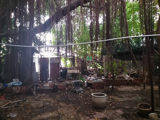 Hình ảnh Villa đường Tôn Thất Tùng - F. Bến Thành - Q.1
