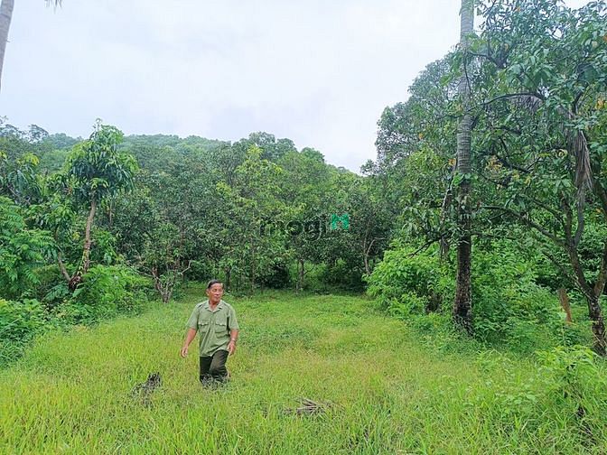 Hình ảnh Đất MT QL80, View biển vịnh Thuận Yên Hà Tiên