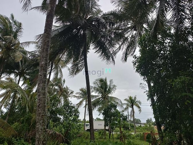 Hình ảnh Đất MT QL80, View biển vịnh Thuận Yên Hà Tiên