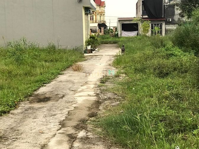 Hình ảnh Bán 43m2 đất TT Quang Minh, Mê Linh MT: 5m, ô tô đỗ,giá 990 triệu