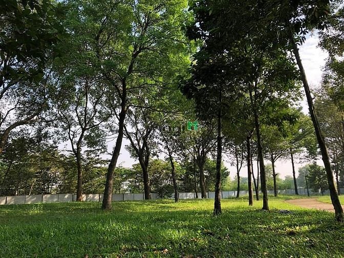 Hình ảnh Cho thuê Trang Chủ MB66.COM / Đăng Ký Tặng 66K 2PN Celadon City giá 8 triệu/tháng