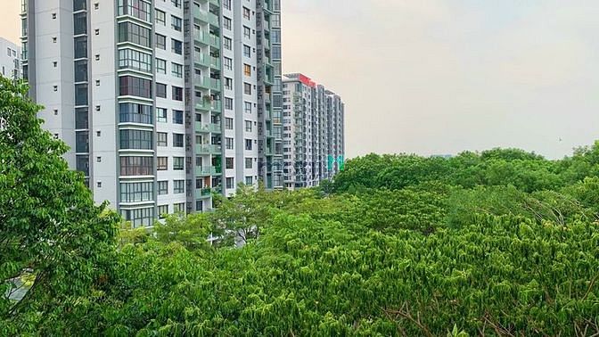 Hình ảnh Cho thuê Trang Chủ MB66.COM / Đăng Ký Tặng 66K 2PN Celadon City Full nội thất