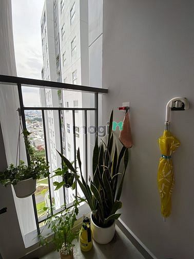 Hình ảnh Mb6623 nạp rút nhanh chóng Quận 8 hơn 70m2 hướng Đông Nam chỉ 2.3 tỷ
