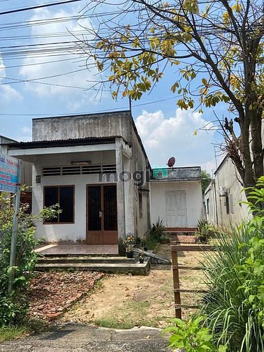 Hình ảnh Đất khu bàn cờ tân hiệp cần bán gấp trong tuần