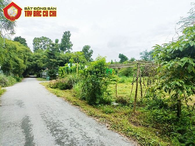 Hình ảnh Bán đất đường số 484 - 1096m2 - 24x54 - 247m2 thổ cư - xã Phú Hòa Đông