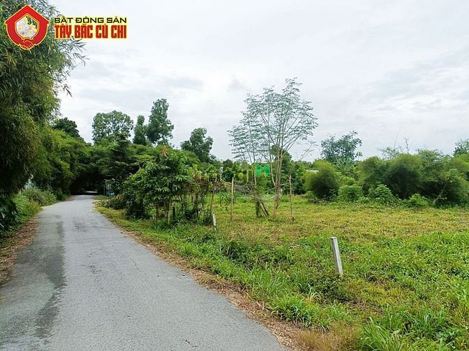 Hình ảnh Bán đất đường số 484 - 1096m2 - 24x54 - 247m2 thổ cư - xã Phú Hòa Đông
