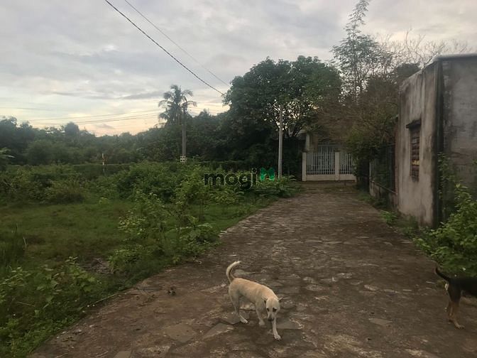 Hình ảnh Cơ Hội Sở Hữu Đất Để An Cư Lạc Nghiệp