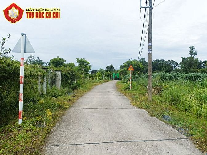 Hình ảnh Bán đất hẻm số 42 - 271m2 - 5x54 - 267m2 thổ cư - xã Phú Hòa Đông