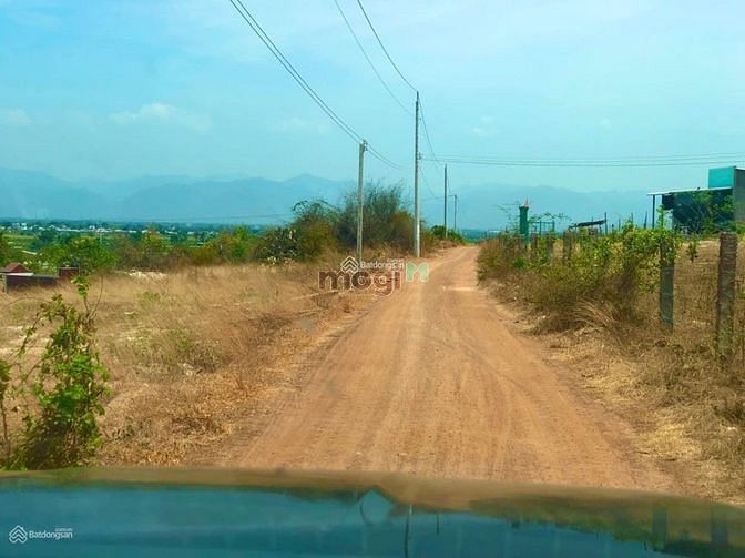 Hình ảnh Đất sổ đỏ 3300m2,Phan Rí Thành ,Bắc Bình,BÌNH THUẬN.1,221Ty