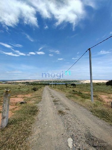 Hình ảnh Đất sổ đỏ 3300m2,Phan Rí Thành ,Bắc Bình,BÌNH THUẬN.1,221Ty
