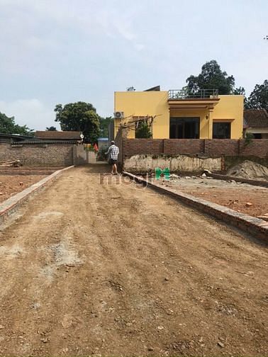 Hình ảnh Chính chủ cần bán đất Tân Dân, Sóc Sơn cạnh khu CN sạch giá từ 800tr