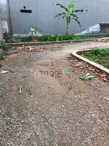 Hình ảnh Chính chủ cần bán đất Tân Dân, Sóc Sơn cạnh khu CN sạch giá từ 800tr
