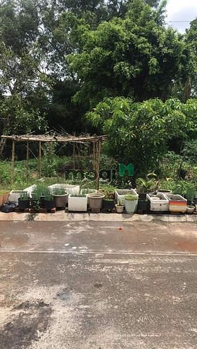 Hình ảnh Bán gấp lô đất thổ cư , Hà Huy Giáp, q12, xây tự do, chỉ 5 tỷ 800tr