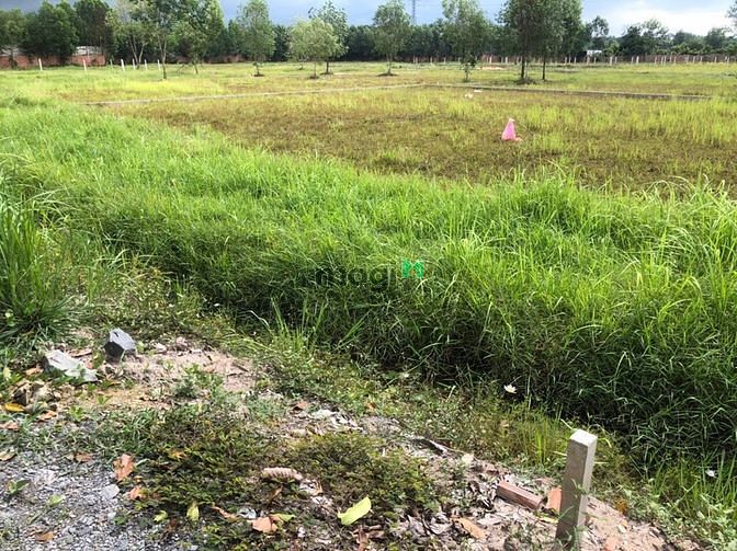 Hình ảnh Bán gấp miếng đất vườn : 27M X 35M, 1000M2; 1,1 TỶ, SHR, TẠI CỦ CHI
