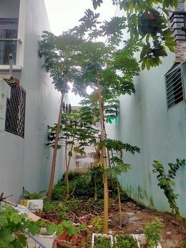 Hình ảnh Lô đất lọt khe Cát Tường Phú Nguyên, giá 1ty480