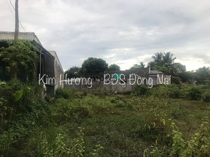Hình ảnh Bán Miếng Đất lo Việc Gia Đình