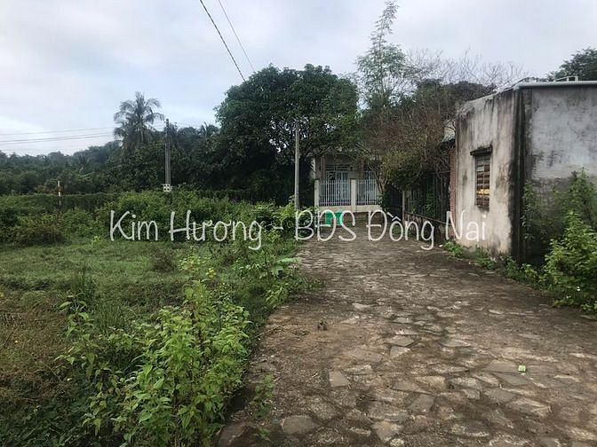 Hình ảnh Bán Miếng Đất lo Việc Gia Đình