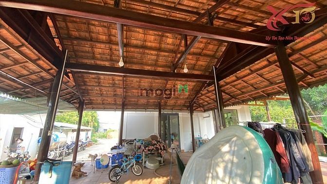 Hình ảnh Cực phẩm! Nhà vườn Bùi Hữu Nghĩa,Tân Hạnh 7948m2 chỉ 6,7tr/m2