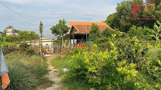 Hình ảnh Cực phẩm! Nhà vườn Bùi Hữu Nghĩa,Tân Hạnh 7948m2 chỉ 6,7tr/m2