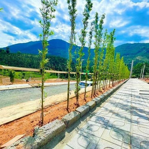 Hình ảnh BÁN ĐẤT BẢO LỘC CHO CON ĐI DU HỌC GẤP