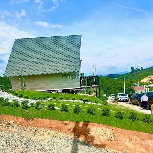 Hình ảnh BÁN ĐẤT BẢO LỘC CHO CON ĐI DU HỌC GẤP