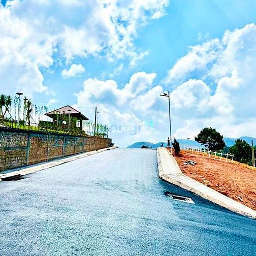 Hình ảnh BÁN ĐẤT BẢO LỘC CHO CON ĐI DU HỌC GẤP