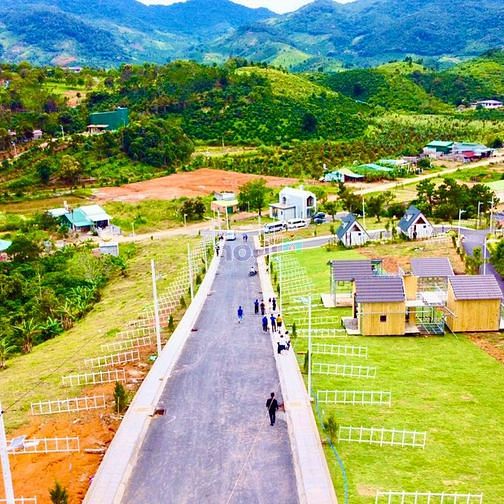 Hình ảnh BÁN ĐẤT BẢO LỘC CHO CON ĐI DU HỌC GẤP