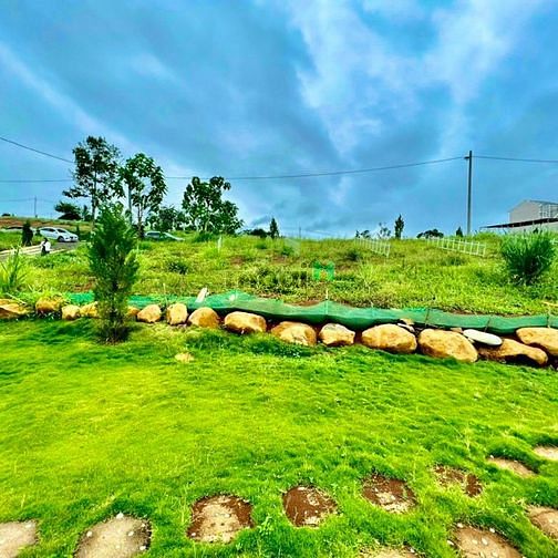 Hình ảnh BÁN ĐẤT BẢO LỘC CHO CON ĐI DU HỌC GẤP