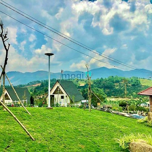 Hình ảnh BÁN ĐẤT BẢO LỘC CHO CON ĐI DU HỌC GẤP