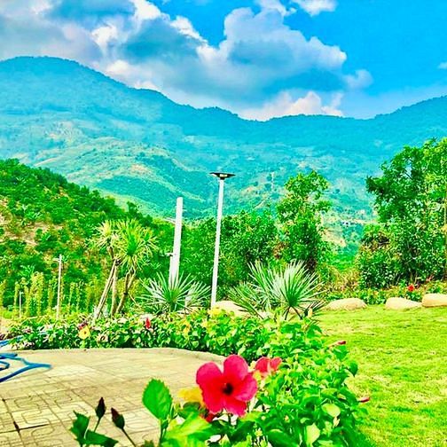 Hình ảnh BÁN ĐẤT BẢO LỘC CHO CON ĐI DU HỌC GẤP