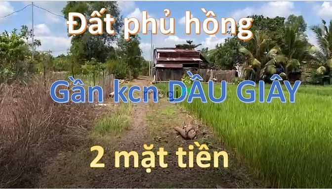 Hình ảnh RẤT TIẾC, nhưng đành bán lô đất PHỦ HỒNG, 2mt chỉ 580 triệu.