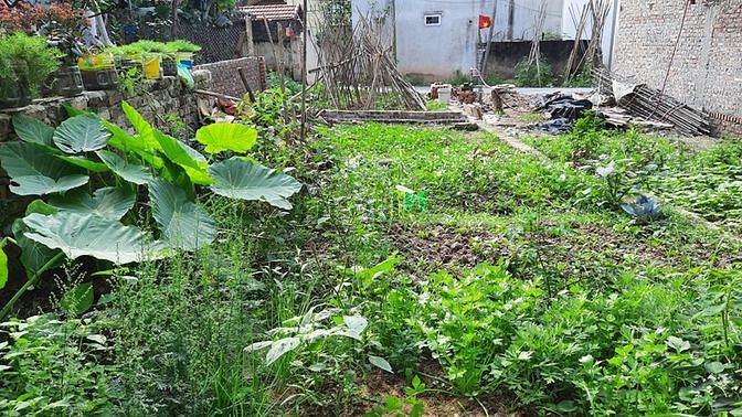 Hình ảnh Bán 50m2 Đất Tây Mỗ, Lô Góc, Vuông Vắn, MT Rộng, Thoáng Mát