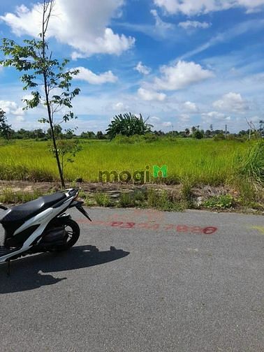 Hình ảnh Bán GẤP Lô Đất - Cần Đước Long An Giáp Bình Chánh DT 90m2 - Giá 850tr